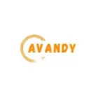 INSTALACIONES DE AUDIO Y VIDEO AVANDY