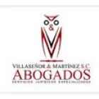 VILLASEÑOR Y MARTINEZ ABOGADOS
