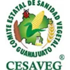 COMITE ESTATAL DE SANIDAD VEGETAL DE GUANAJUATO AC
