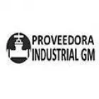 PROVEEDORA INDUSTRIAL GM