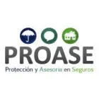 PROTECCION Y ASESORIA SEGUROS Y FIANZAS