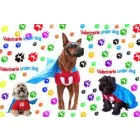 VETERINARIA UNDERDOG