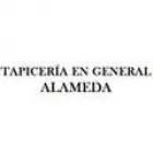 TAPICERÍA EN GENERAL ALAMEDA