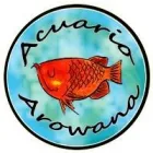 ACUARIO AROWANA
