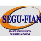 CASILLAS CHAVEZ FERNANDO ANTONIO