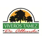 VIVEROS TAMEZ DE ALLENDE