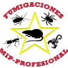 FUMIGACIONES MIP-PROFESIONAL