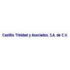 CASTILLO TRINIDAD Y ASOCIADOS
