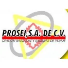 PROSEI, S.A. DE C.V