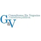 G&V CONSULTORES EN NEGOCIOS S.C.