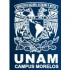 UNAM