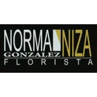 NORMA GONZALEZ NIZA